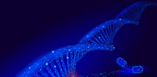 terapia génica, distrofia muscular de cinturas