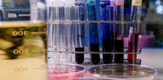 enfermedades genéticas raras, España