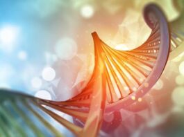 gen TRAF7, síndrome TRAF7