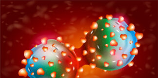 leucemia mieloide aguda, tratamientos