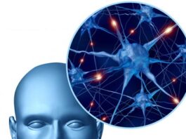 neuromielitis óptica