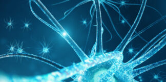 Síndrome de Rubinstein-Taybi,