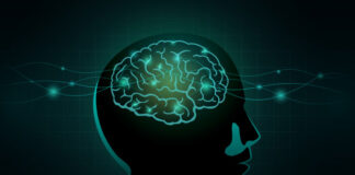 terapia, nernio óptico, médula espinal