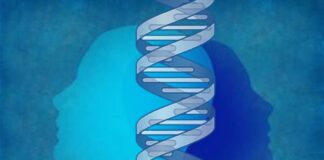 variación genética, sexo biológico