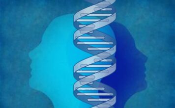 variación genética, sexo biológico