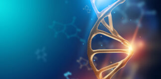 CRISPR Therapeutics, terapias CRISPRCas9, trastornos genéticos, cáncer
