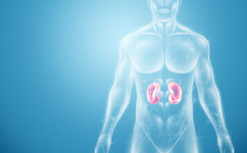 Regulus Therapeutics Inc., RGLS4326, medicamento huérfano, enfermedad renal poliquística autosómica dominante