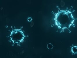 SARS-CoV-2, Covid-19, proteína, células humanas