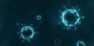 SARS-CoV-2, Covid-19, proteína, células humanas