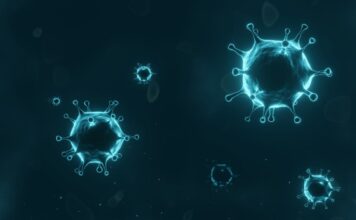 SARS-CoV-2, Covid-19, proteína, células humanas