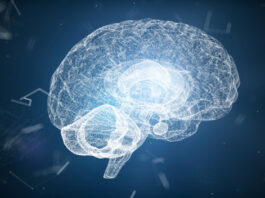 fármacos, cerebro, Niemann-Pick, Glioblastoma
