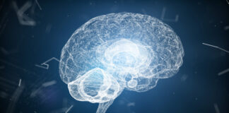 fármacos, cerebro, Niemann-Pick, Glioblastoma