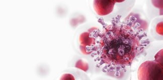 leucemia mieloide aguda, nanofármaco