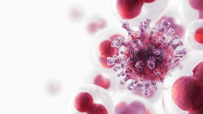 leucemia mieloide aguda, nanofármaco