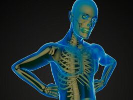 muerte neuronal, modelos experimentales, esclerosis lateral amiotrófica