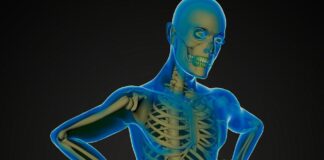 muerte neuronal, modelos experimentales, esclerosis lateral amiotrófica