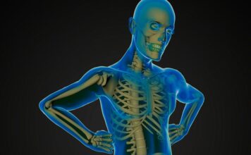 muerte neuronal, modelos experimentales, esclerosis lateral amiotrófica