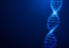 tirosinemia, trastorno, CRISPR