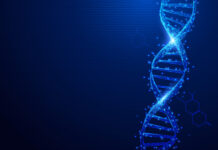 tirosinemia, trastorno, CRISPR