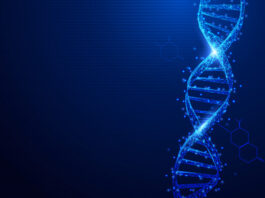 tirosinemia, trastorno, CRISPR