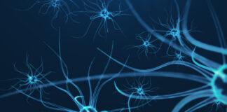 ARNs terapéuticos, esclerosis-lateral-amiotrófica