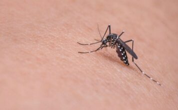 HP163 tratamiento, Zika, COVID-19