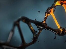 Sarepta Therapeutics Inc., distrofia muscular de Duchenne
