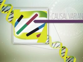 fiebre mediterránea familiar, variantes genéticas