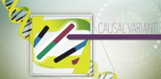 fiebre mediterránea familiar, variantes genéticas