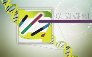 fiebre mediterránea familiar, variantes genéticas