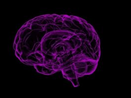 glioblastoma, infigratinib medicamento