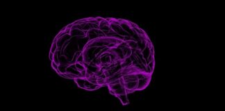 glioblastoma, infigratinib medicamento