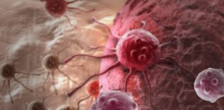 gemtuzumab ozogamicina