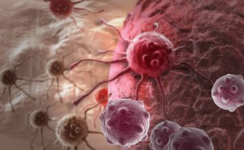 gemtuzumab ozogamicina