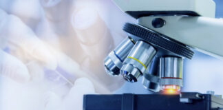 modelo de neuronas de la enfermedad Charcot-Marie-Tooth