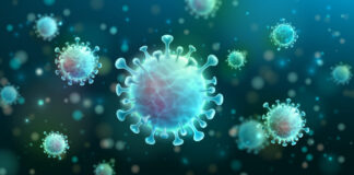 proteína gravedad, COVID-19