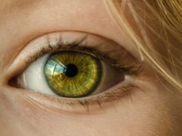 retinosis pigmentaria, protesis de retina