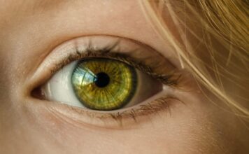 retinosis pigmentaria, protesis de retina