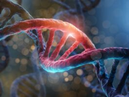 síndrome de Sotos, enfermedad genética