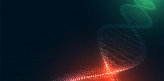 Charcot-Marie-Tooth News, se realizó un estudio que descubrió tres nuevas mutaciones en el gen GJB1