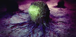 Exicure, cavrotolimod, tratamiento, tumores solidos, pembrolizumab