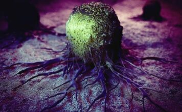 Exicure, cavrotolimod, tratamiento, tumores solidos, pembrolizumab
