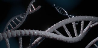 Movimientos en espejo congénitos familiares, EERR