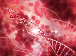 Mutaciones de genTP53 empeoran la gravedad del cáncer de sangre