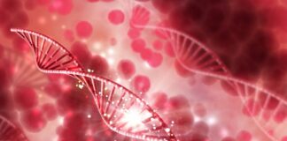 Mutaciones de genTP53 empeoran la gravedad del cáncer de sangre