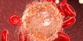 Novartis, medicamento asciminib, leucemia mieloide crónica