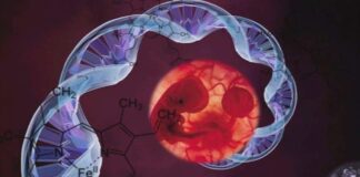 alfa talasemia, recién nacidos