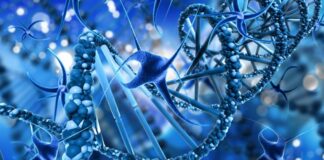 células del cuerpo, escaneo facial eerr