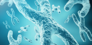 cilios primarios con el síndrome X frágil