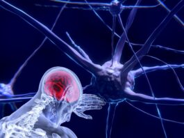 distrofia muscular de Duchenne, día mundial